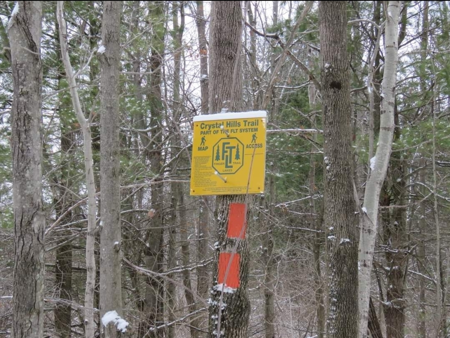 An image depicting the trail Great Eastern Trail (Incomplete) and its surrounding area.