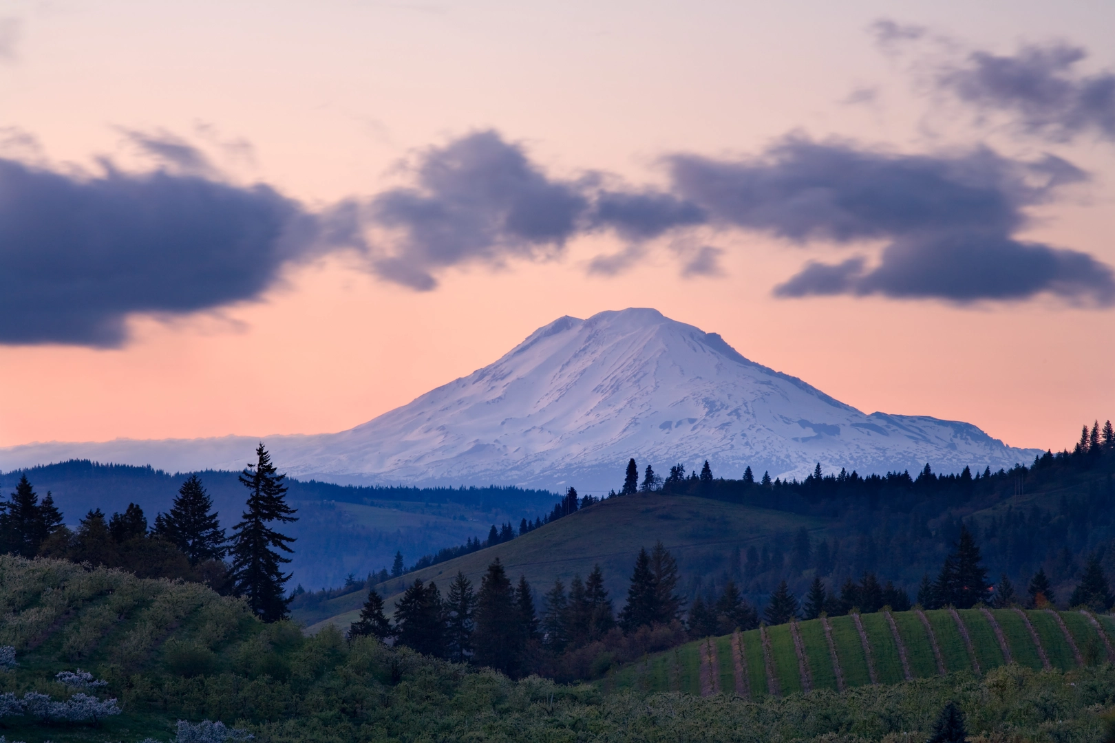 An image depicting the trail Pacific Crest Trail - Mount Adams To Mount Rainier and its surrounding area.