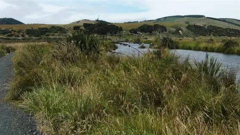 Titri Creek Track