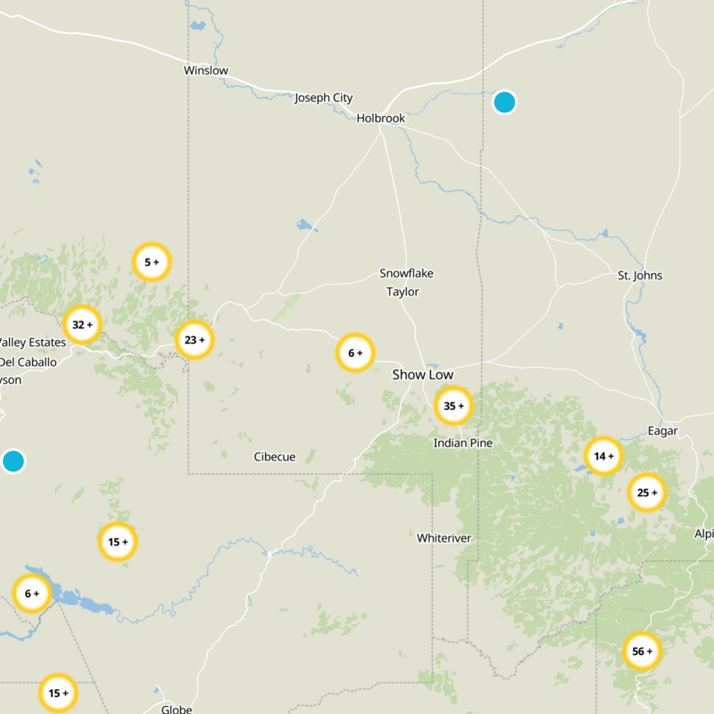 Pinedale Static Map