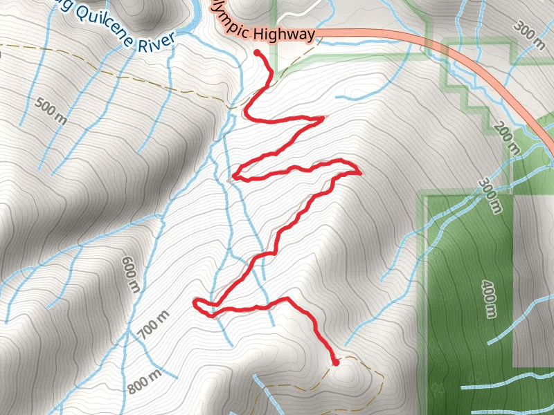 Elbo Creek Trail