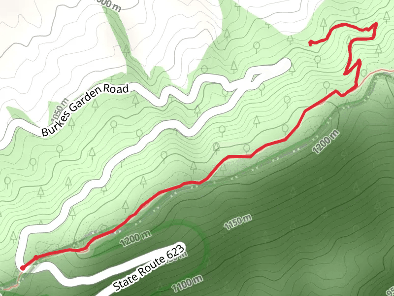Davis Path Side Trail via Appalachian Trail