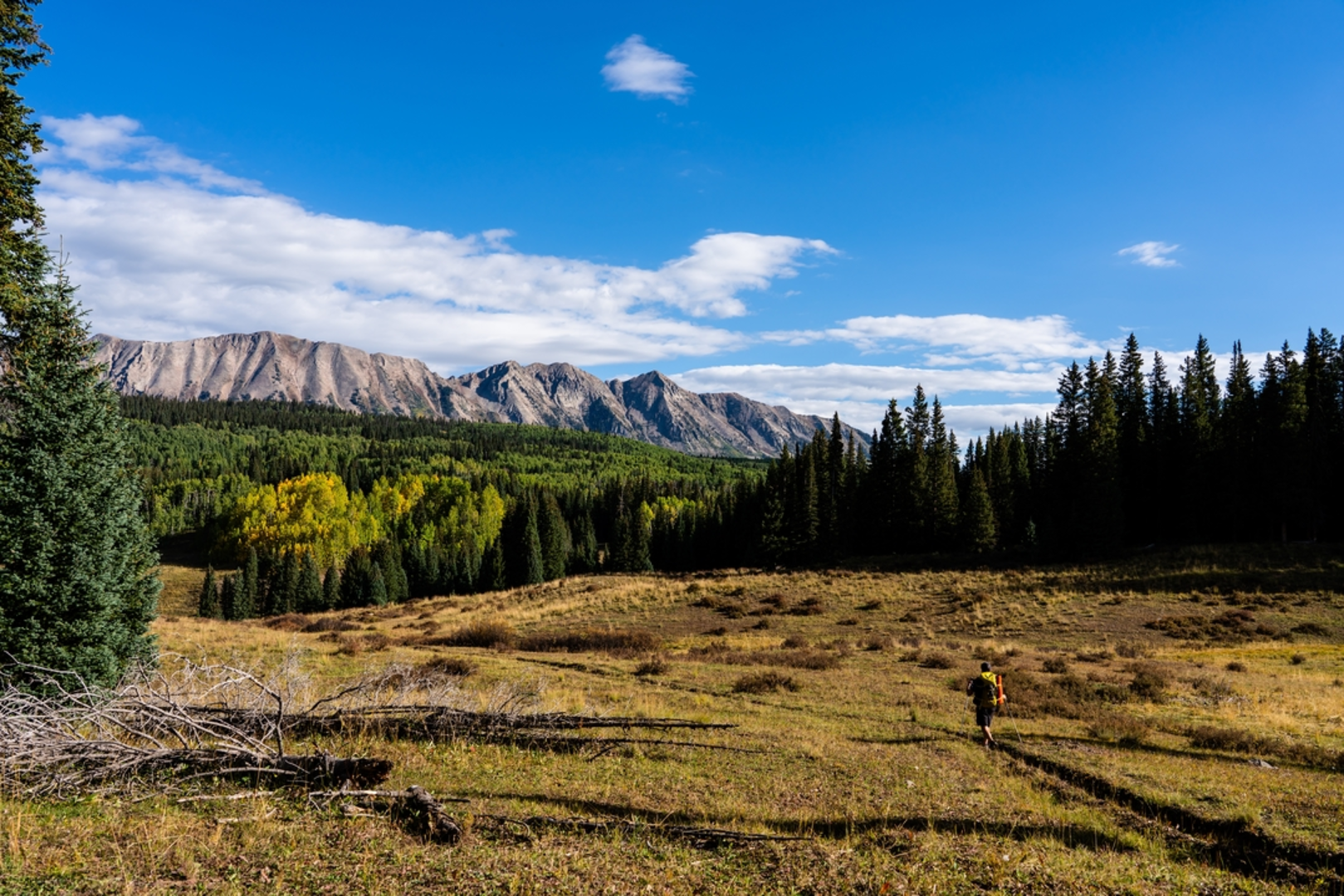 An image depicting the trail Sheep Lake via Little Robinson Trail and its surrounding area.