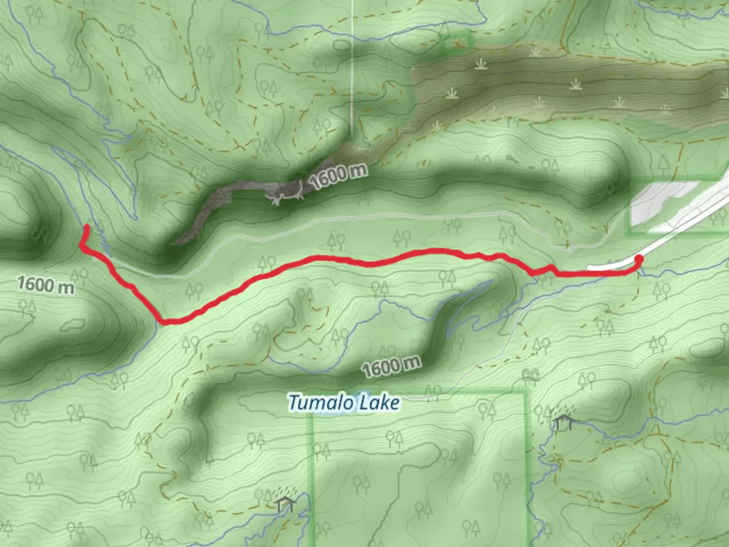 An image depicting the trail Tumalo Creek Trail and its surrounding area.