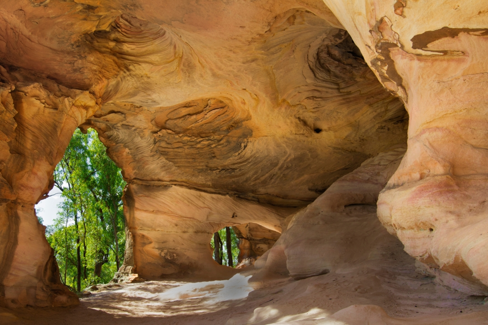 An image depicting the trail Sandstone Caves Track and its surrounding area.