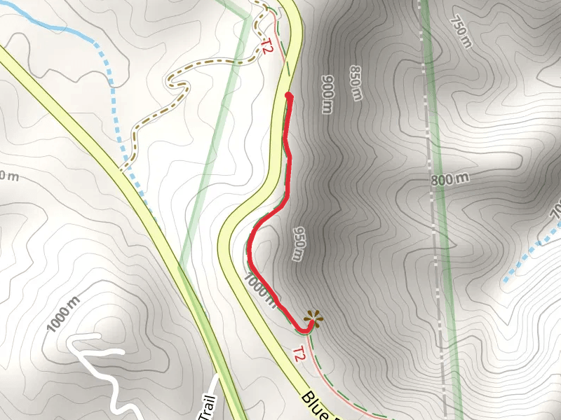 Mountains to Sea Trail - Segment 5