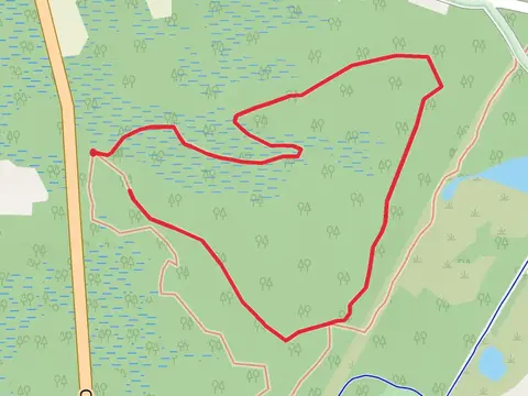 NJ State Long Trail and Lizard Tail Swamp Yellow Trail Loop