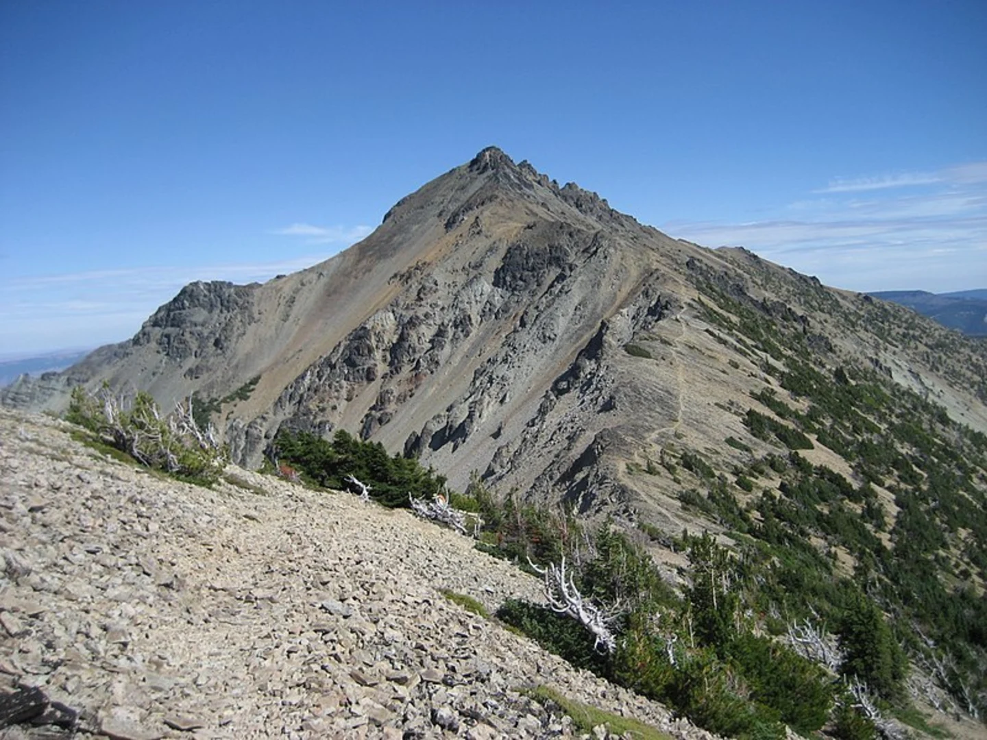 An image depicting the trail Nelson Ridge Trail via Windy Ridge Trail and its surrounding area.