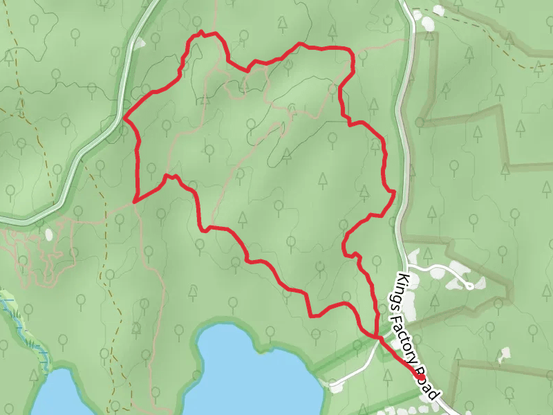 Sammy C and Vin Gormley Loop Trail