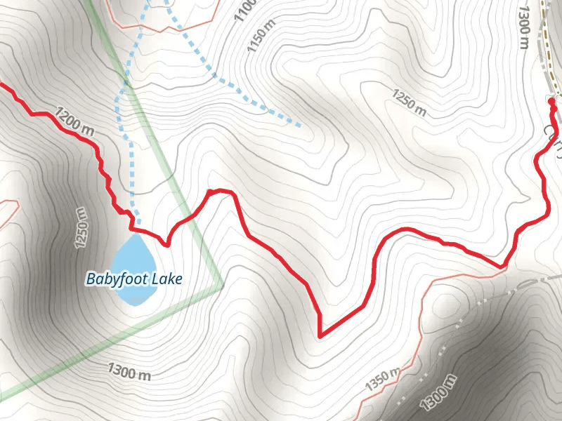 Babyfoot Lake Trail