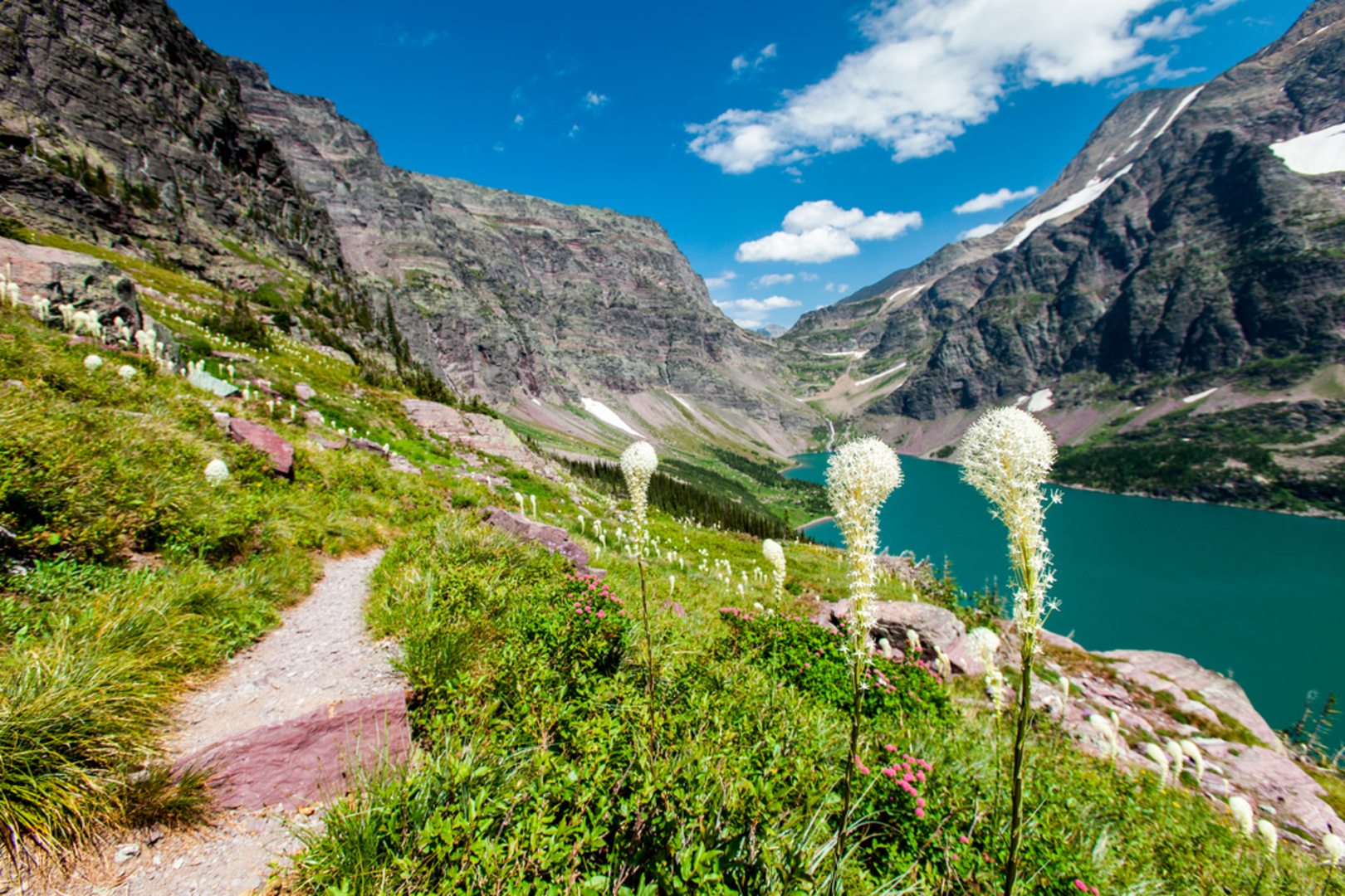 An image depicting the trail Ellen Wilson Trail via Gunsight Pass Trail and its surrounding area.