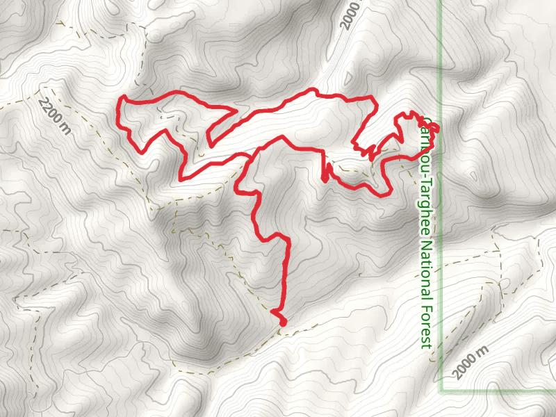 Old Horseshoe Road Loop
