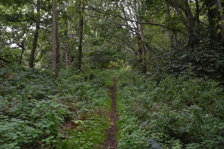 Brockhill Country Park Loop