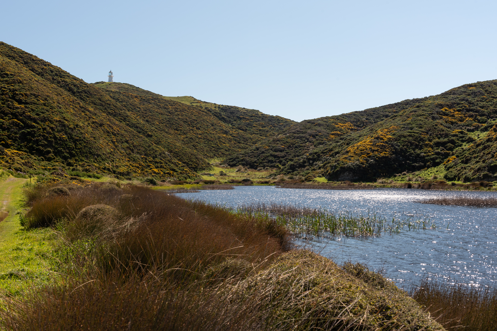 An image depicting the trail Eastbourne Lakes Circuit and its surrounding area.