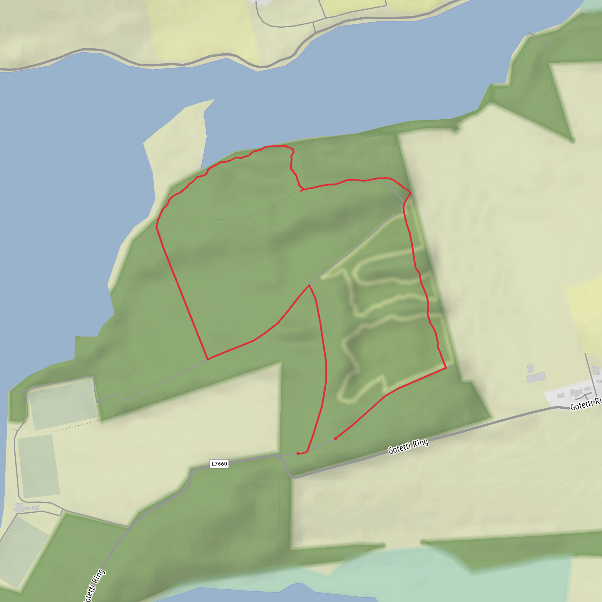 Rostellan mobile static map
