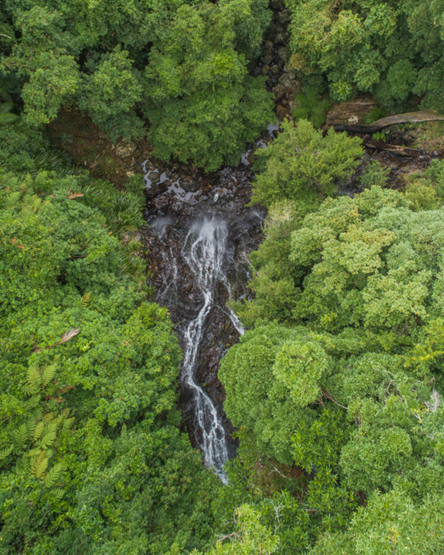 An image depicting the trail Twin Falls Circuit Track and its surrounding area.