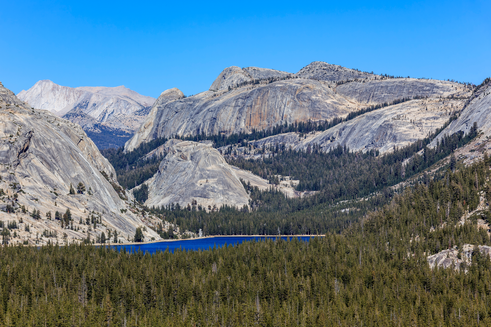 An image depicting the trail Tenaya Lake Loop and its surrounding area.