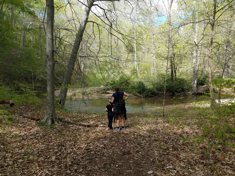 Charcoal Interpretive Trail and Pig Iron Interpretive Trail Loop