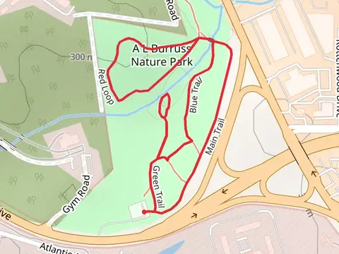 Red-Green-Blue Loop