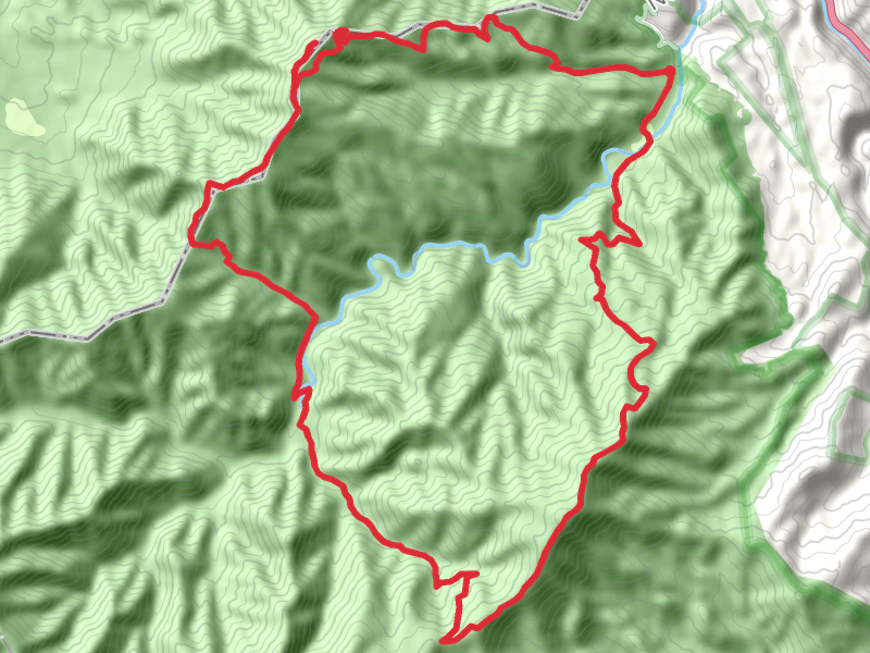 Mount Cammerer, Chestnut Branch Trail Loop