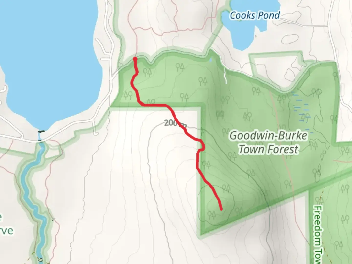 An image depicting the trail Goodwin Town Forest from Lead Mine Road and its surrounding area.
