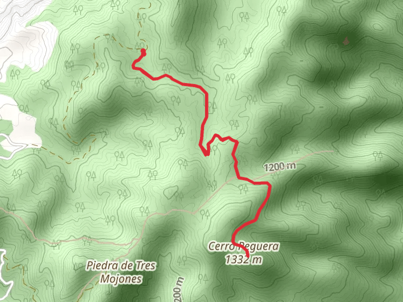 Peguera Summit