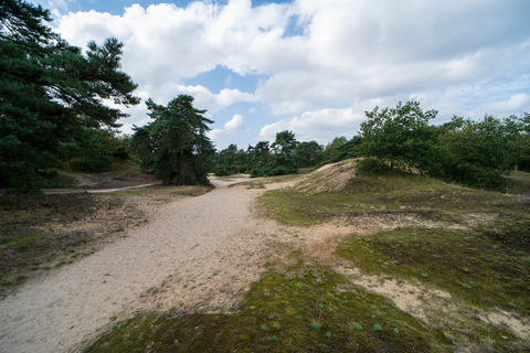 Oostrum to Vierlingsbeek via Boschhuizerbergen
