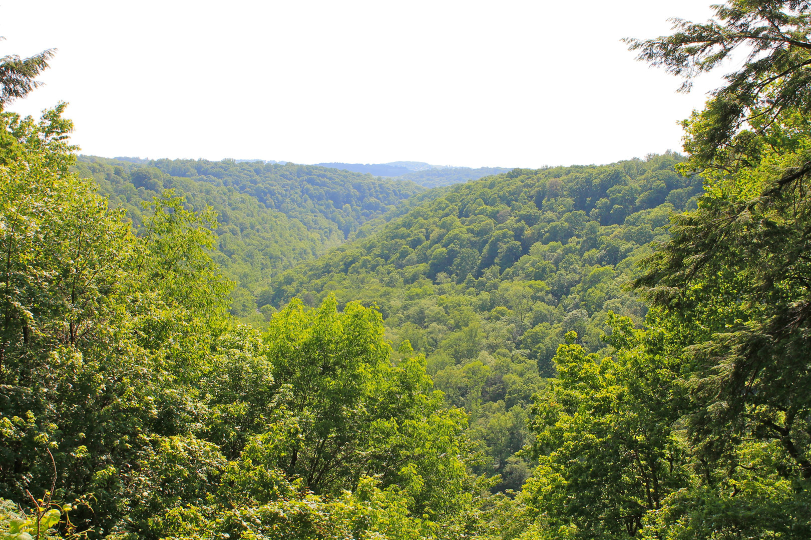 An image depicting the trail Hells Run and its surrounding area.