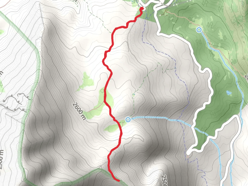Horse Flat Trail and Primrose Overlook Trail