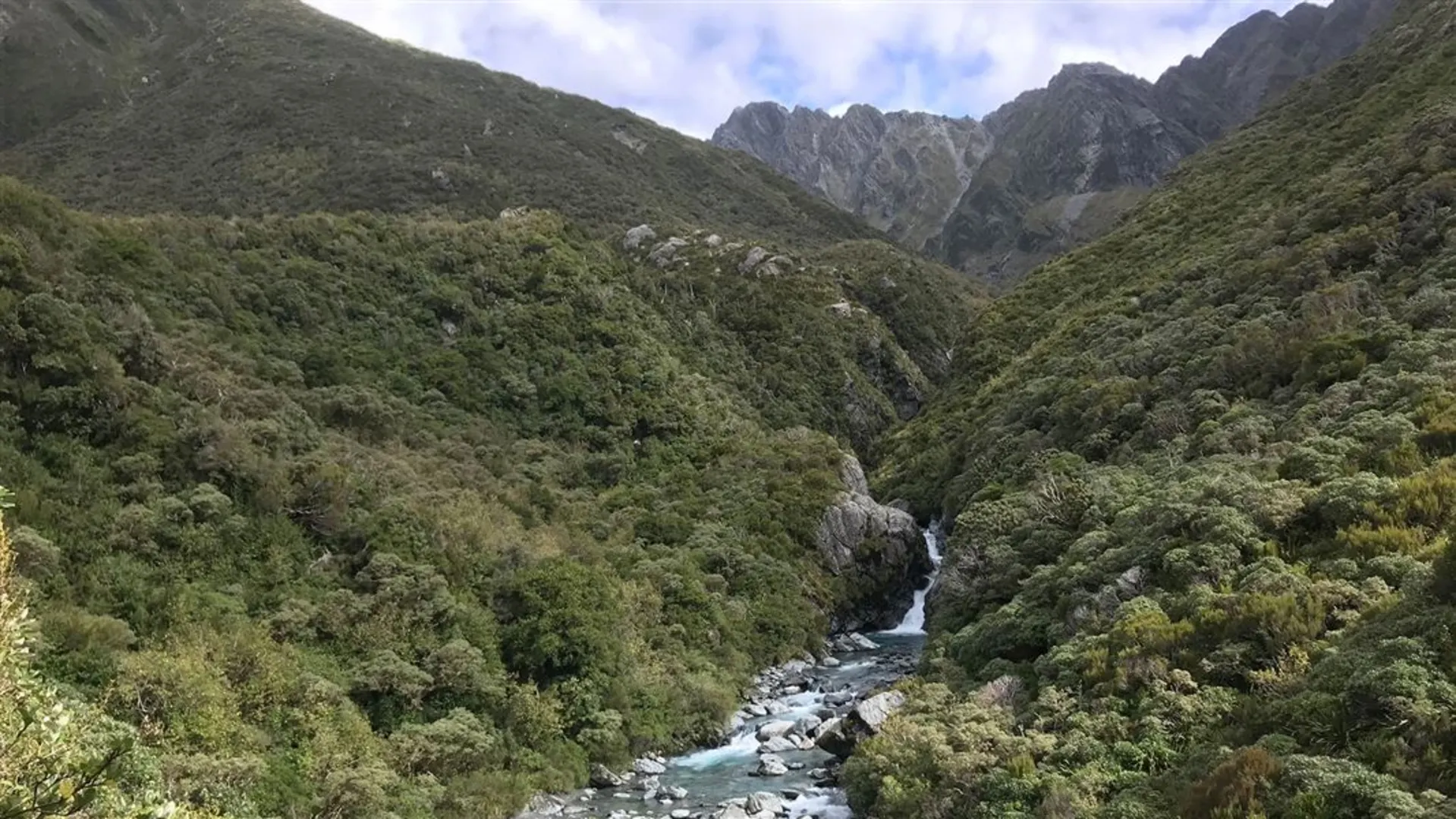 An image depicting the trail Arahura and Styx Valleys Track and its surrounding area.