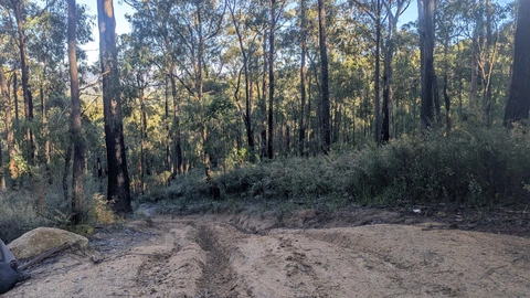 Nash Creek Loop - Wombat