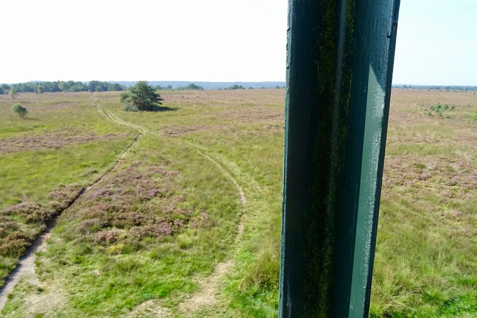 An image depicting the trail Grijze Berg, Kromme Elboog and Rozendaalsche Veld via Tunnekes Weg and Konongs Weg and its surrounding area.