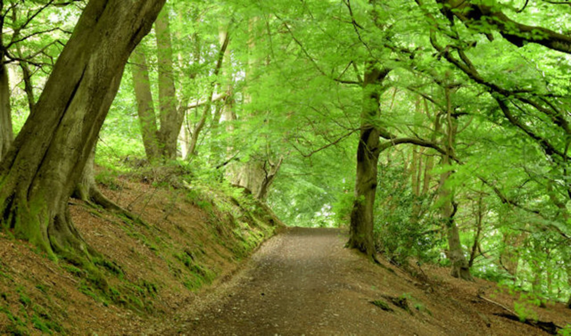 An image depicting the trail Redburn Country Park and its surrounding area.
