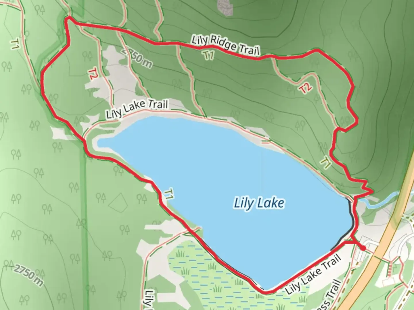 An image depicting the trail Lily Lake - Lily Ridge Loop Trail and its surrounding area.