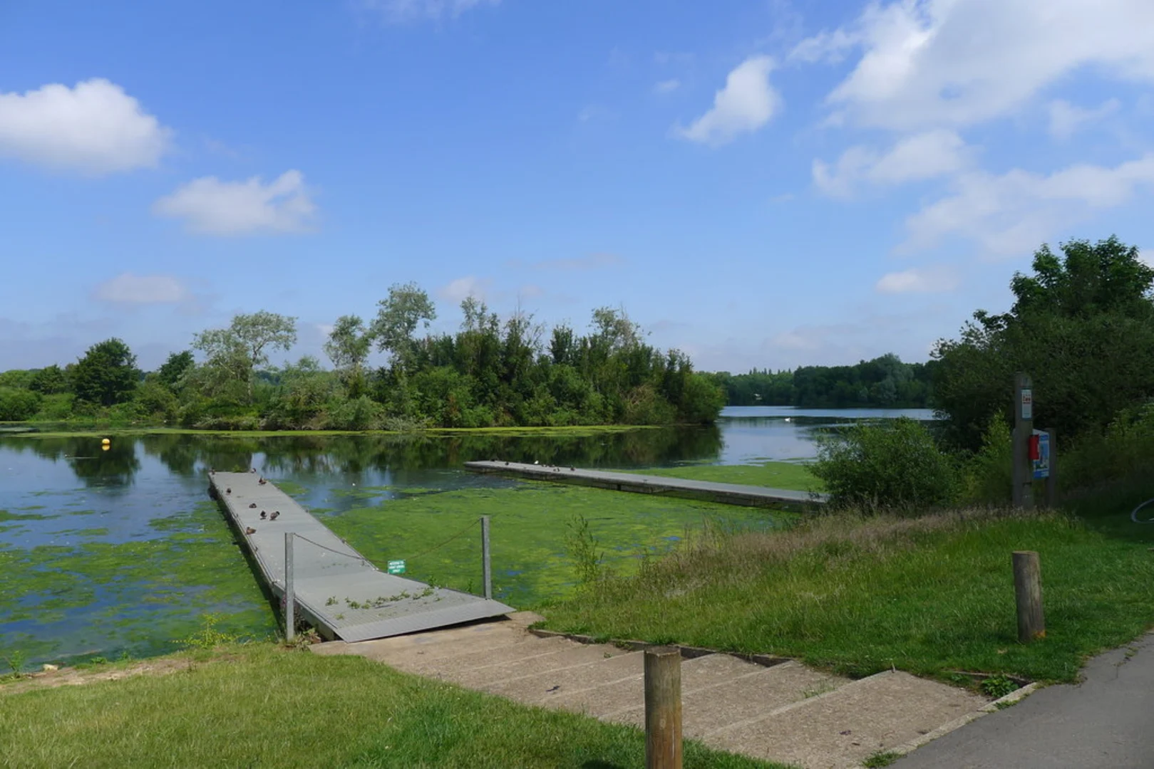 An image depicting the trail Overton Lake and Bluebell Wood Loop and its surrounding area.