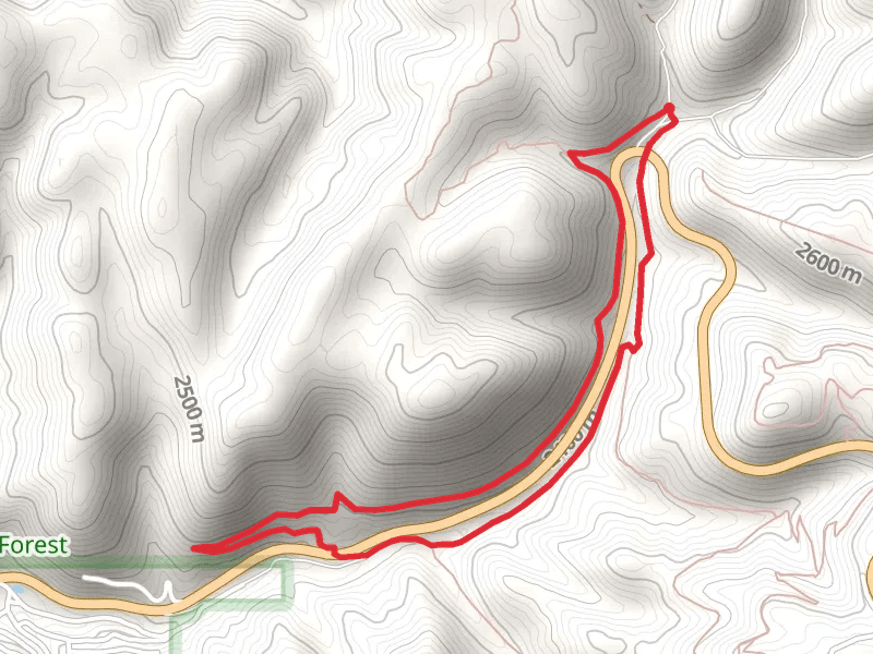 Switchback and Old Cloudcroft Highway Loop Trail