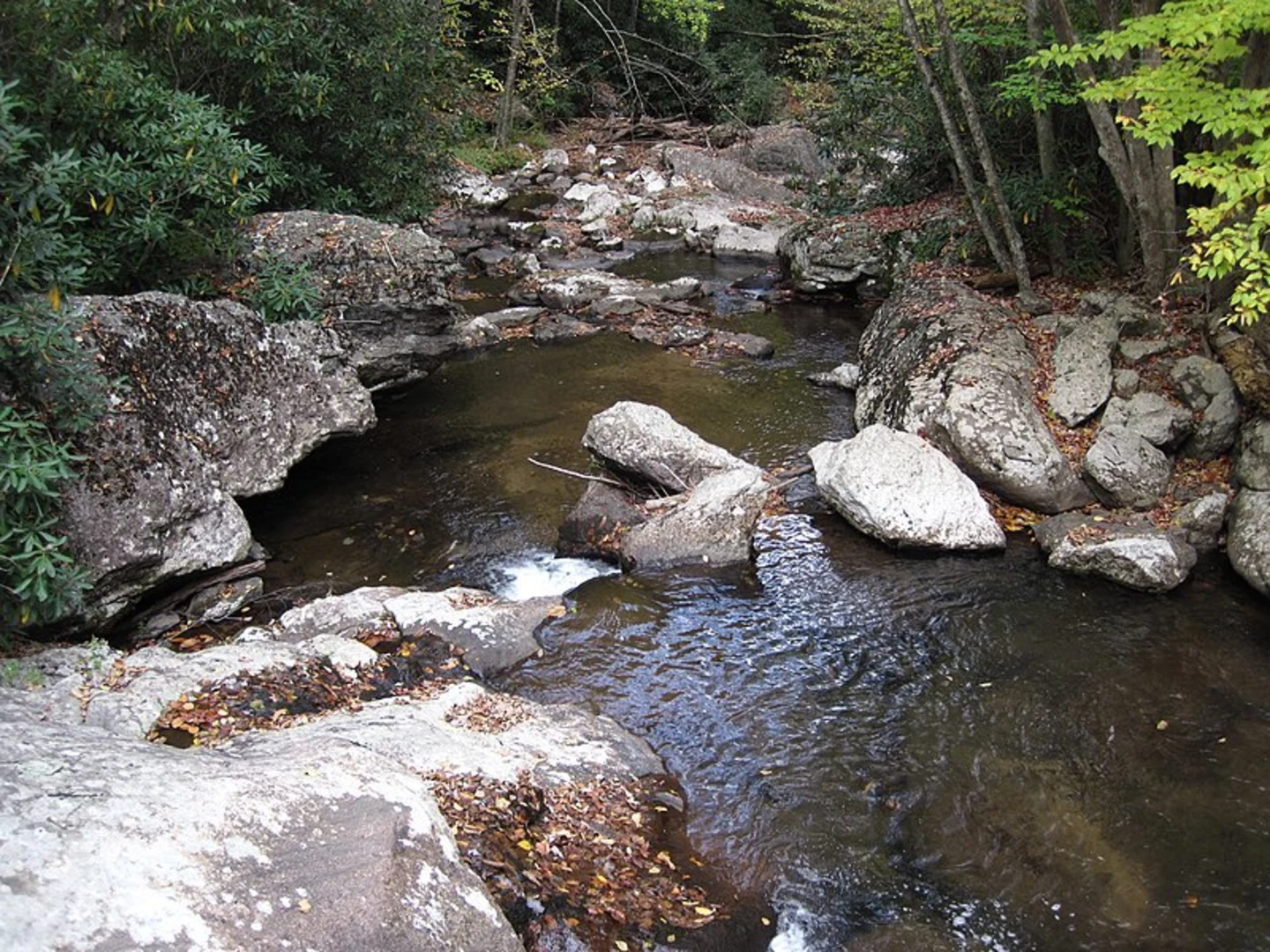 An image depicting the trail Hurricane Mountain via Virginia Highlands Trail and its surrounding area.
