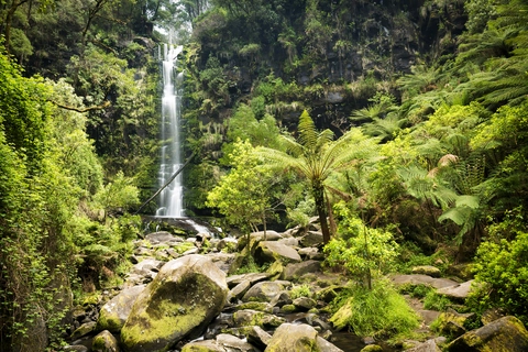 Erskine Falls Circuit Trail