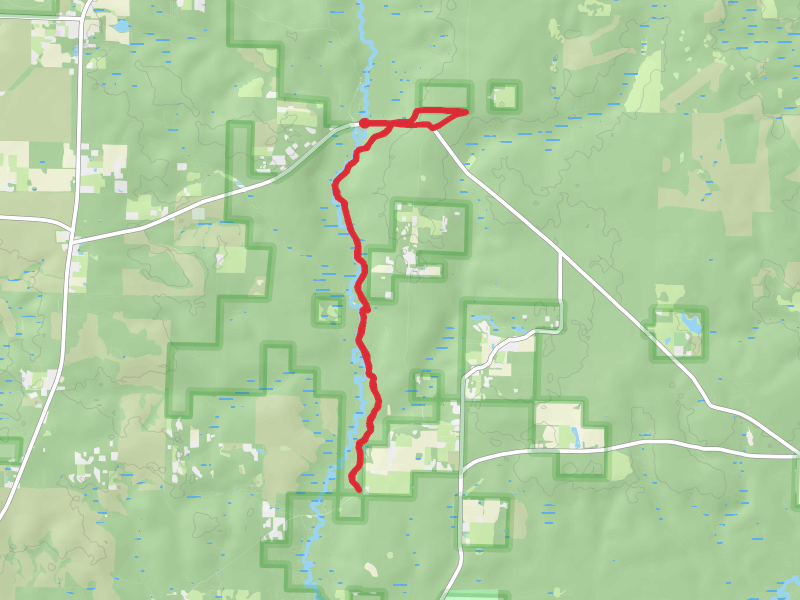 Juniper Creek