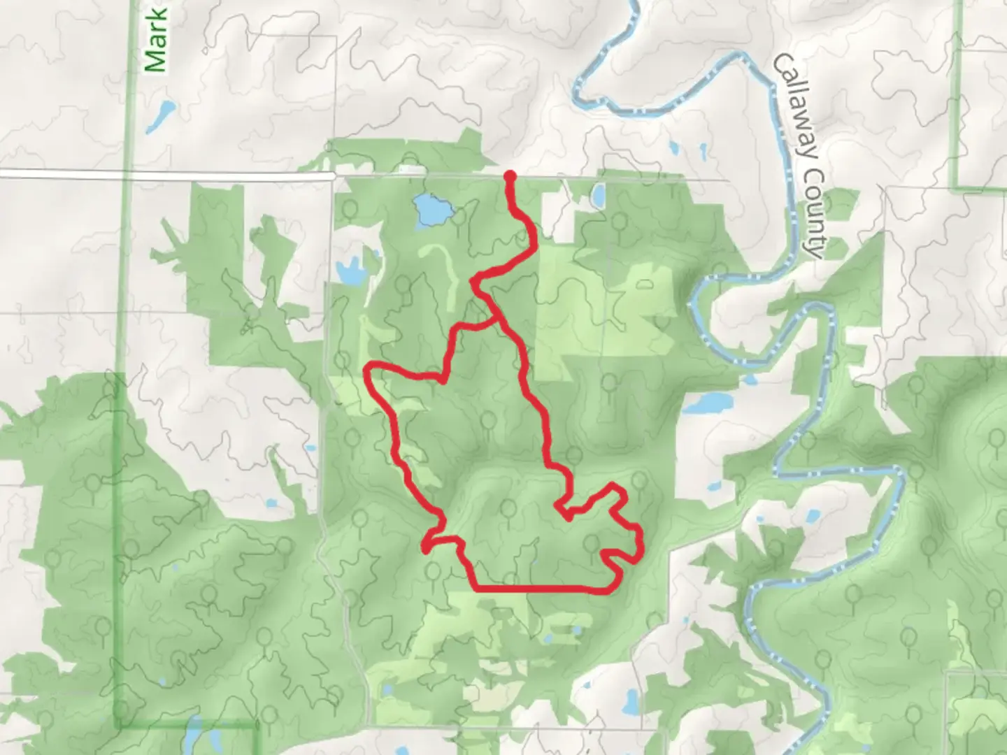 An image depicting the trail Cedar Creek Trail - Moon Loop and its surrounding area.