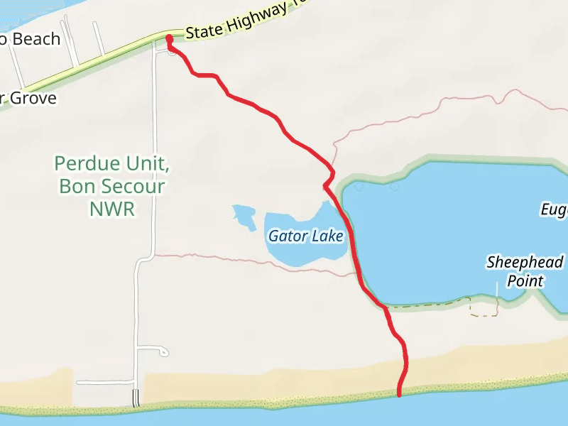 Gator Lake via Pine Beach Road