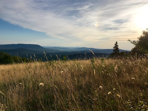 Appalachian Trail Section Hike - Bigelow Preserve Trail