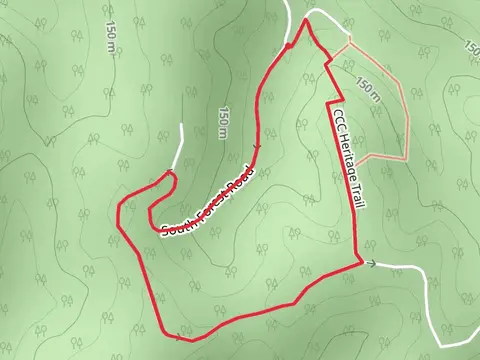 South Forest Road Loop