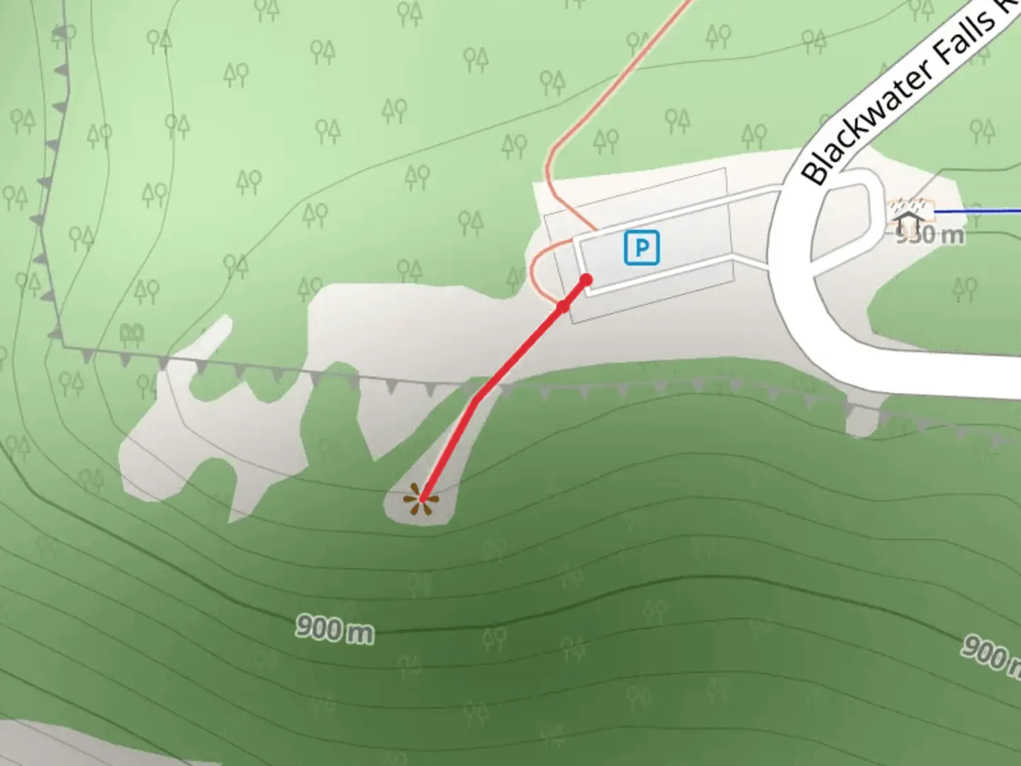An image depicting the trail Blackwater Falls Road Out and Back and its surrounding area.