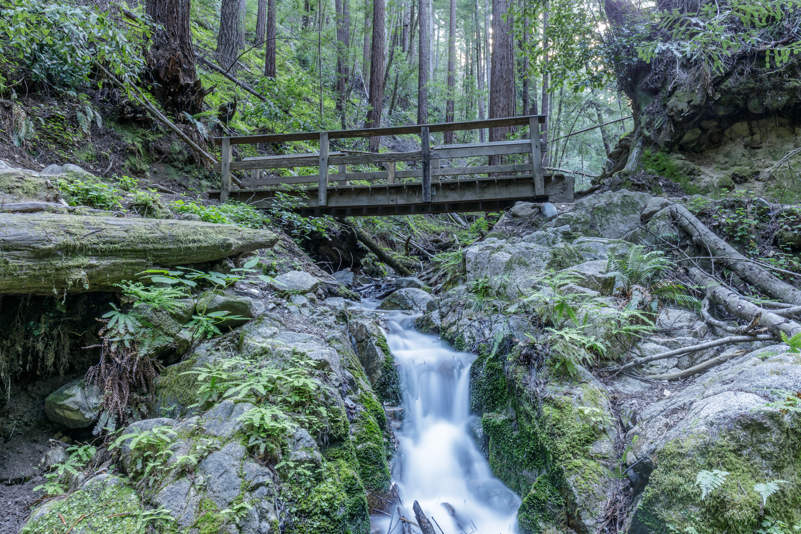 An image depicting the trail Fall Creek - Cape Horn - Ridge Loop Trail and its surrounding area.