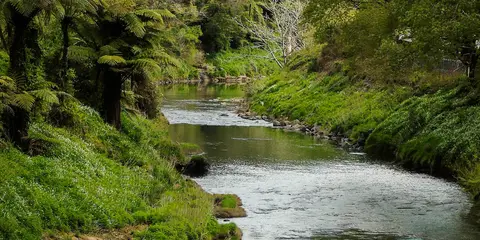 Karangahake Track Karan to Waikino