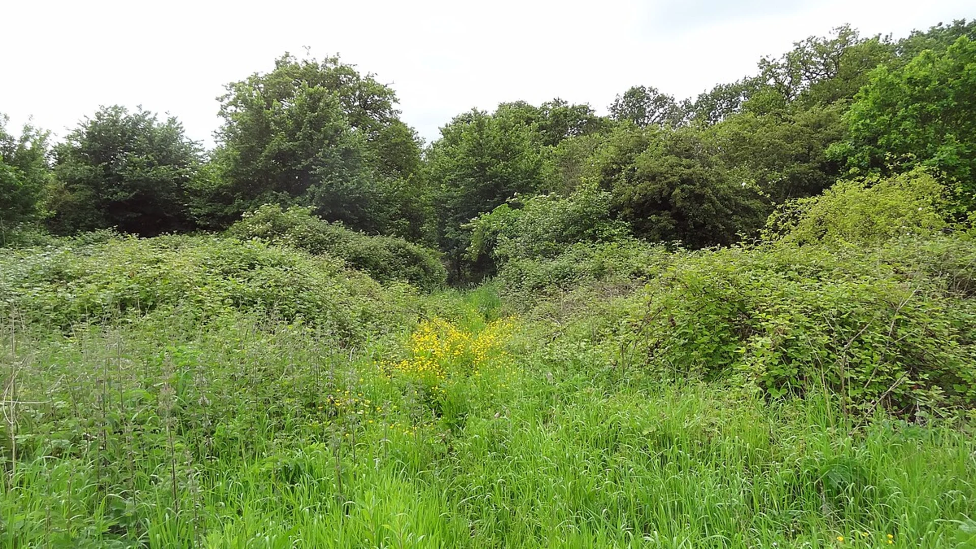 An image depicting the trail Ten Acre Wood and Swakeleys Park Loop and its surrounding area.