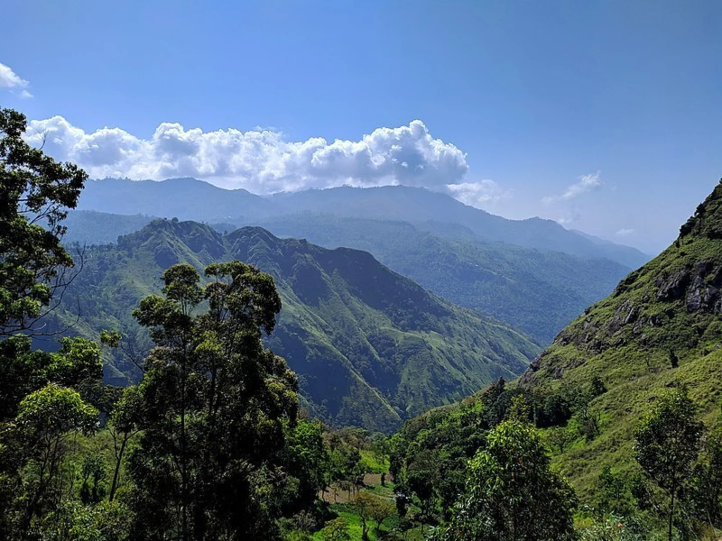An image depicting the trail Ella Rock Hike and its surrounding area.