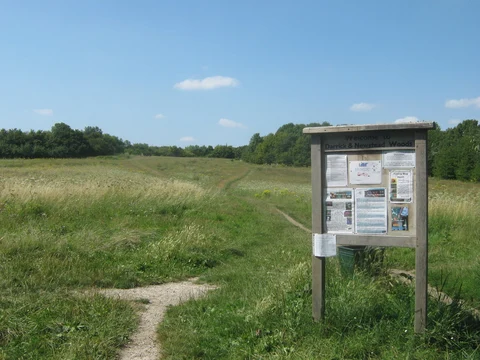 Darrick Wood Loop