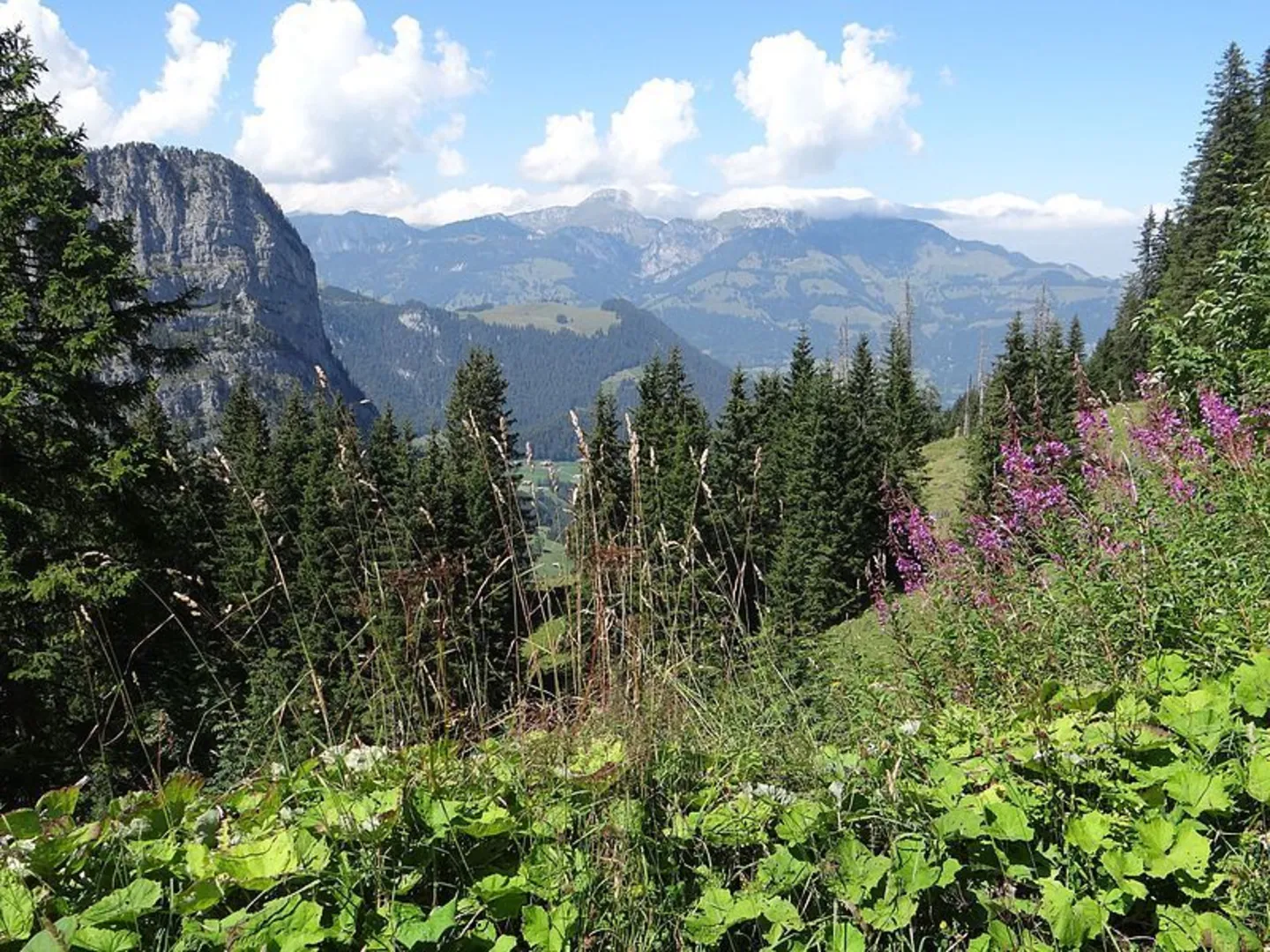 An image depicting the trail Oberwil to Erlenbach im Simmental and its surrounding area.